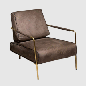 Brown Leisure Chair