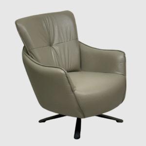 olive green Leisure Chair