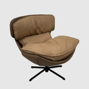 Coffee leisure chair