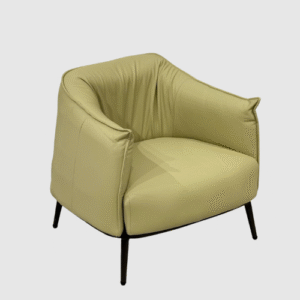 Green Leisure Chair