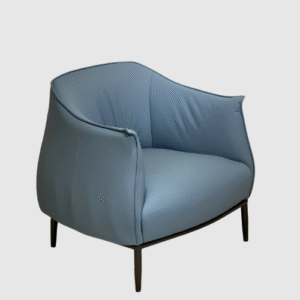 Light Blue Leisure Chair